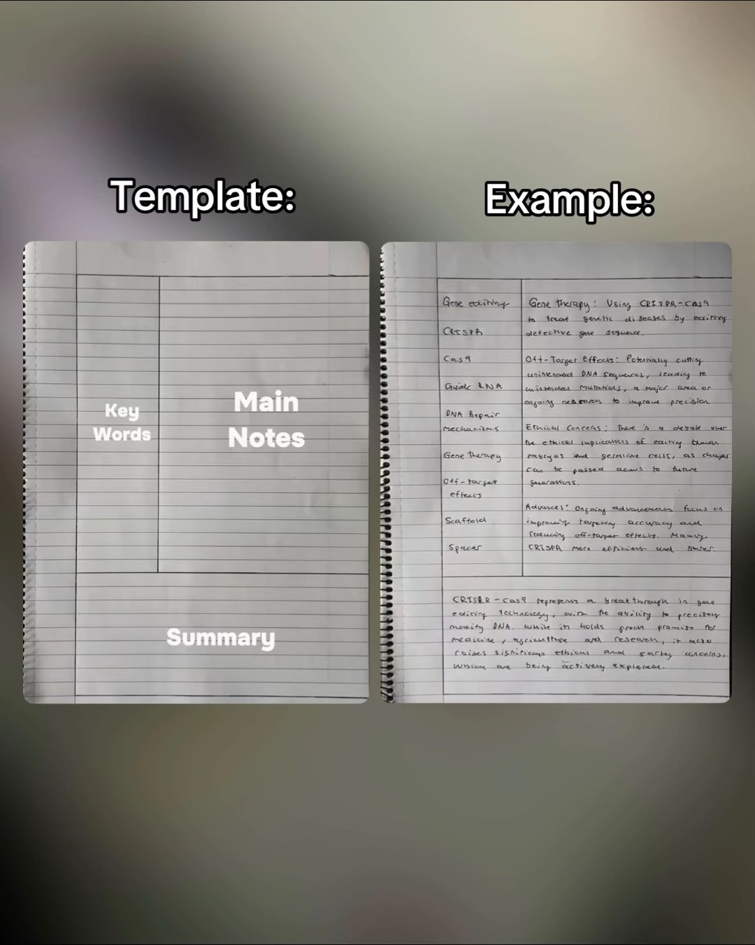 Slide 3