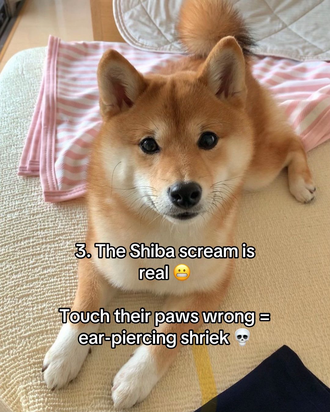 Slide 4