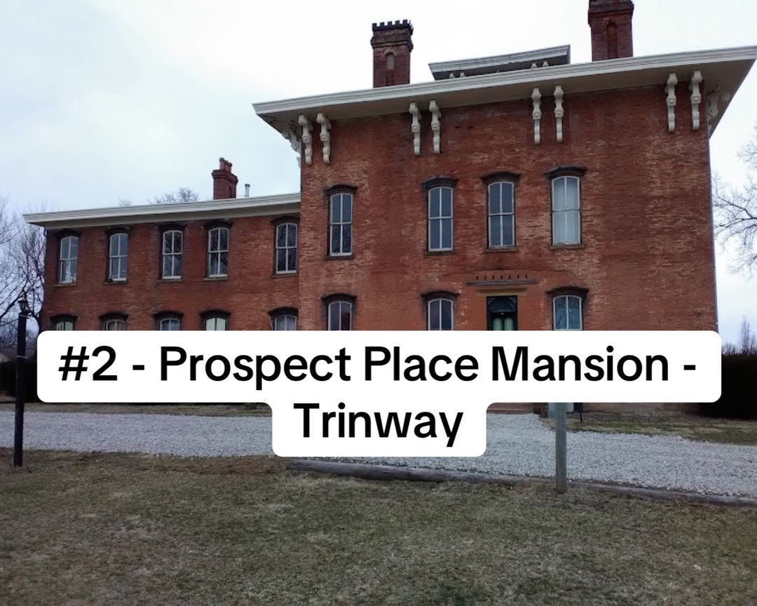 Slide 7
