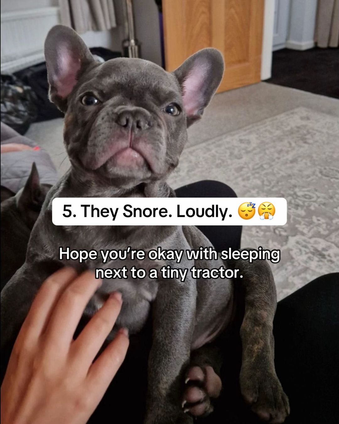 Slide 6