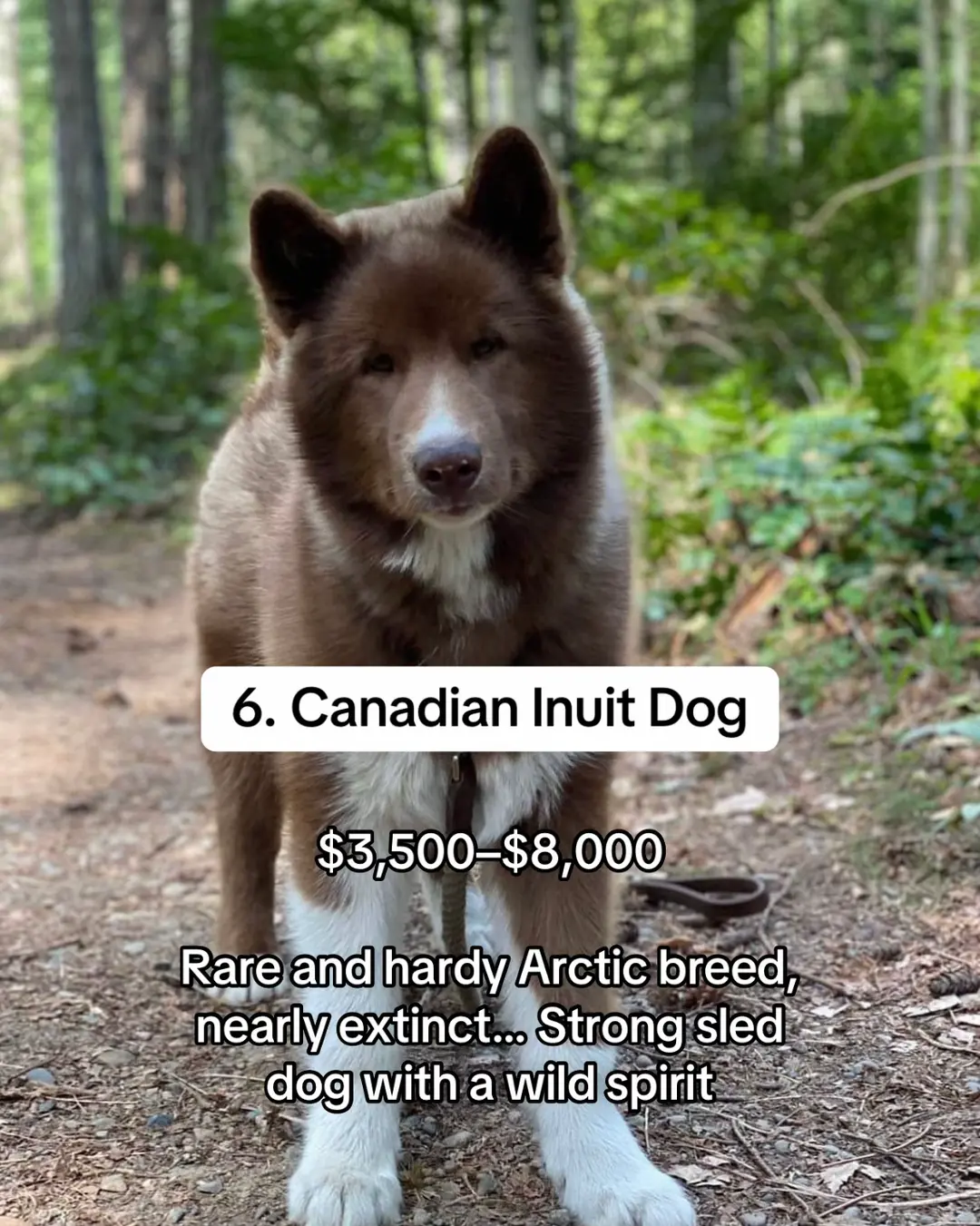 Slide 6
