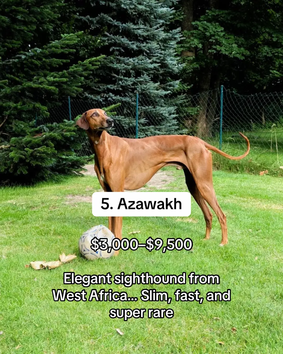 Slide 7