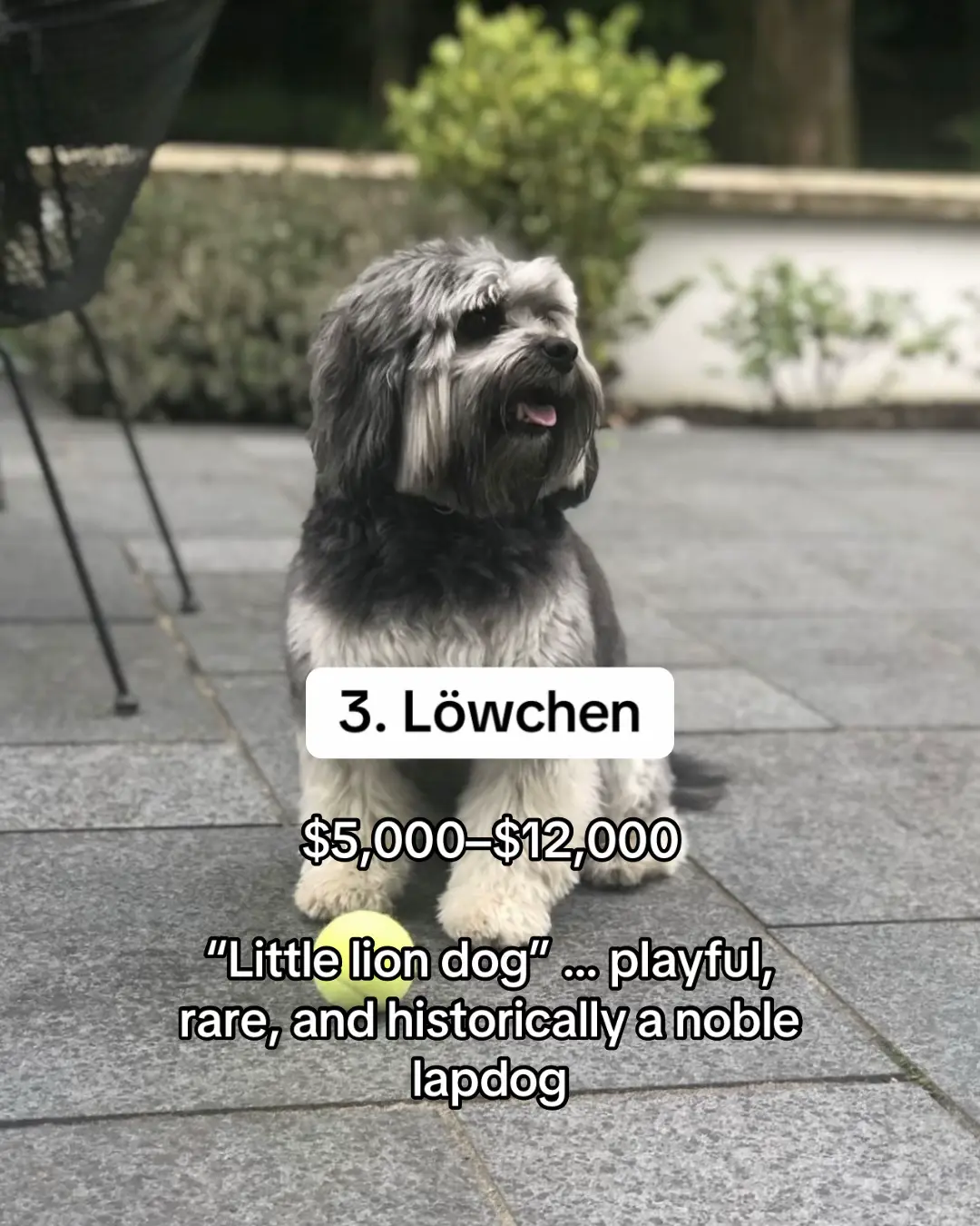 Slide 9