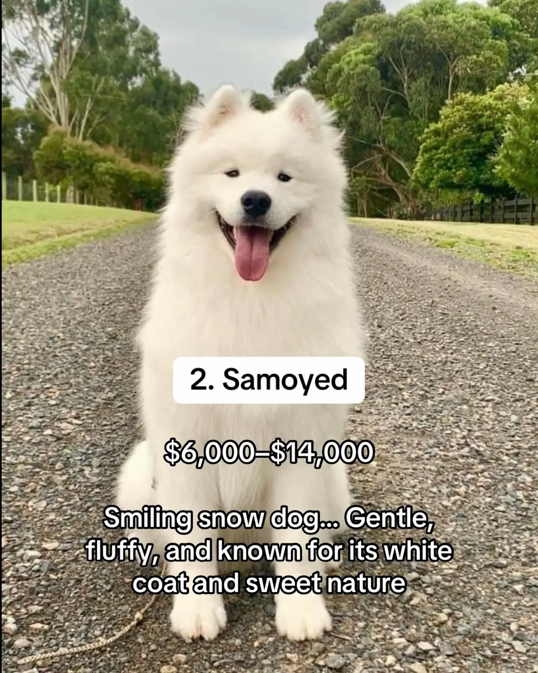 Slide 10