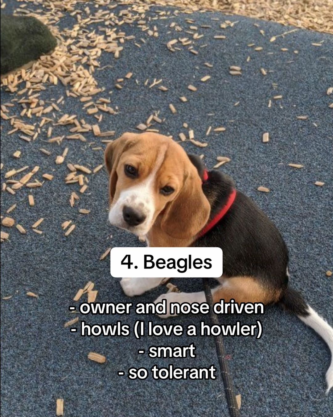 Slide 5