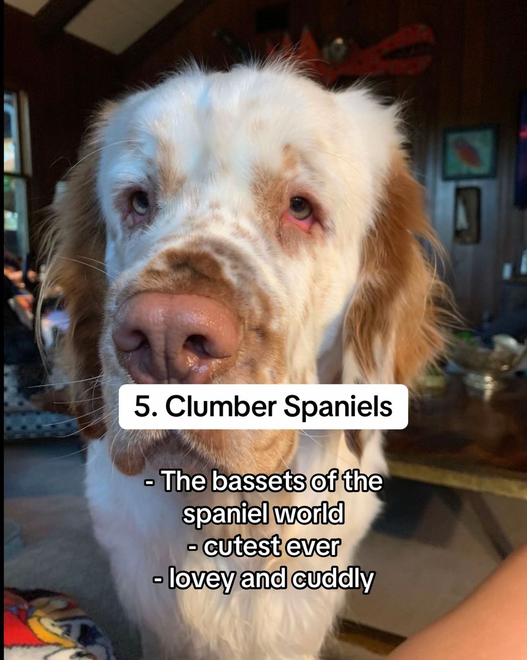 Slide 6