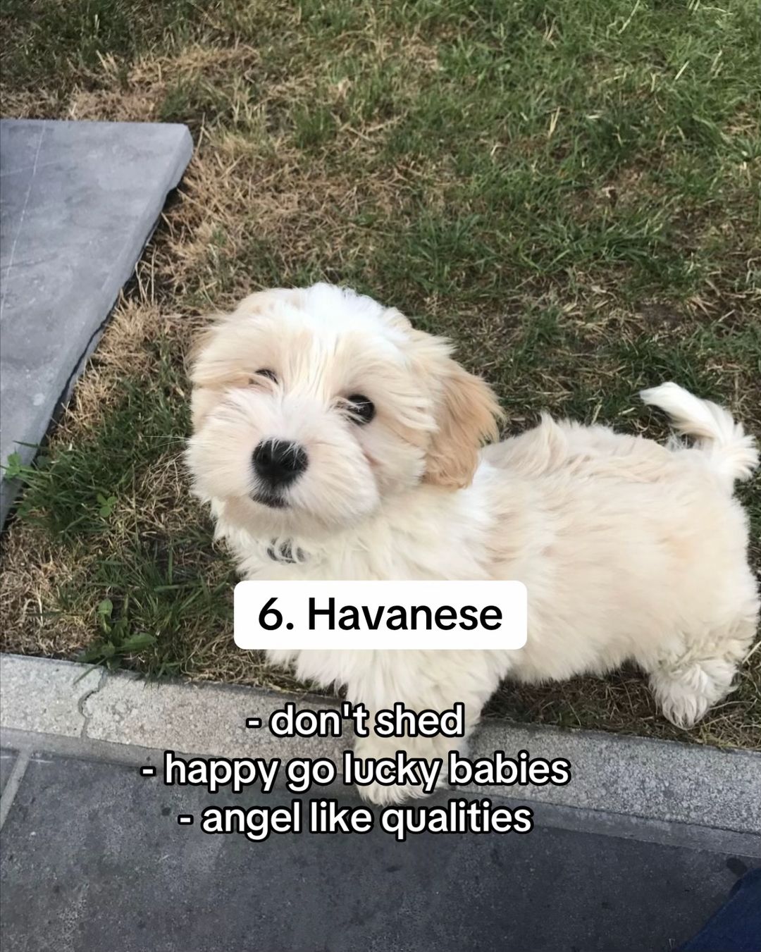 Slide 7