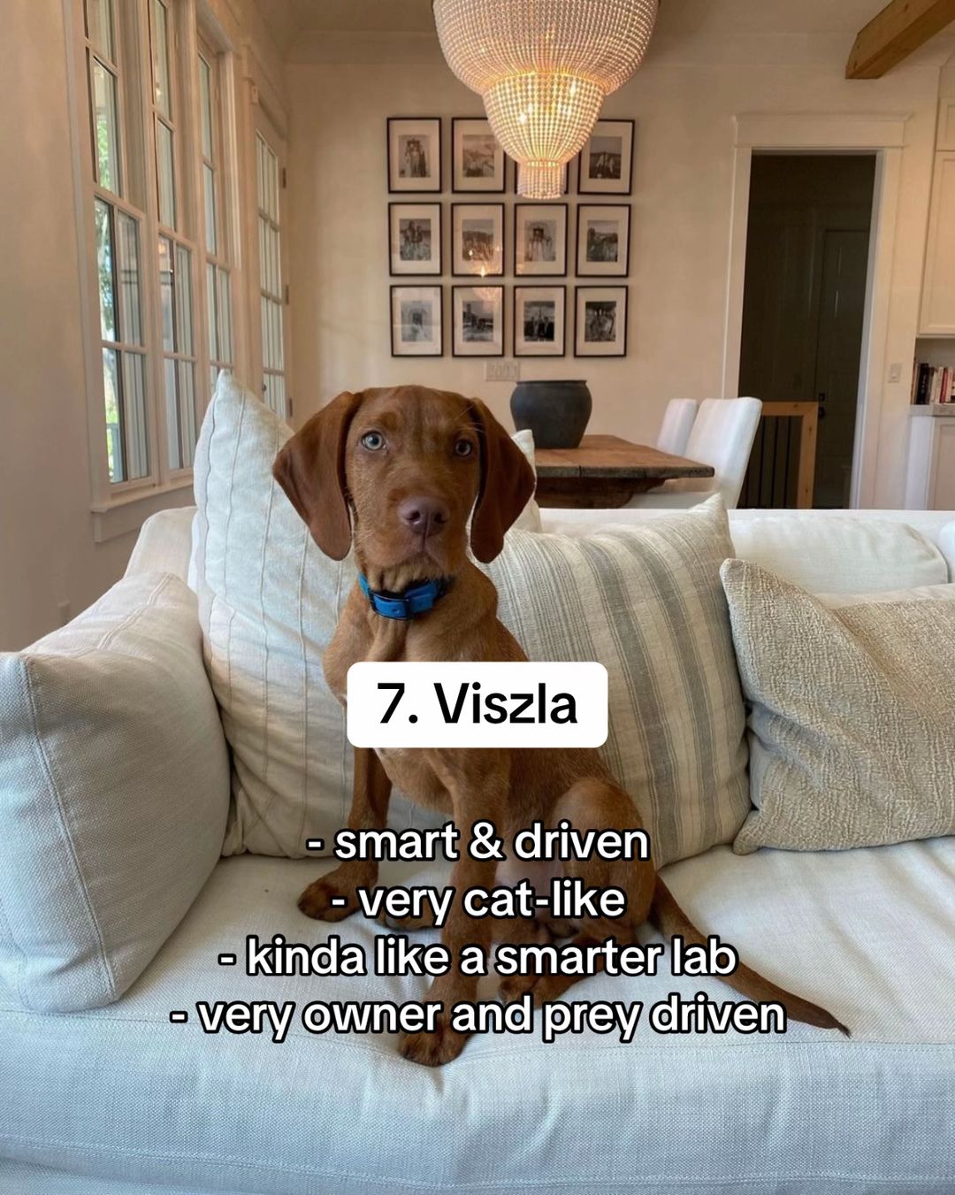 Slide 8