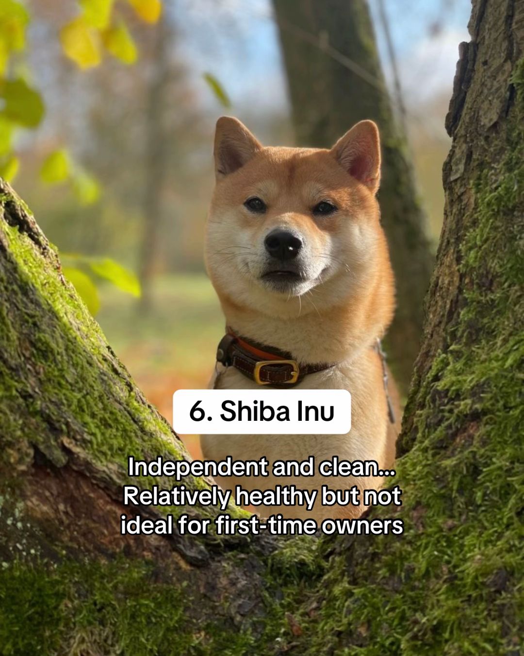 Slide 6