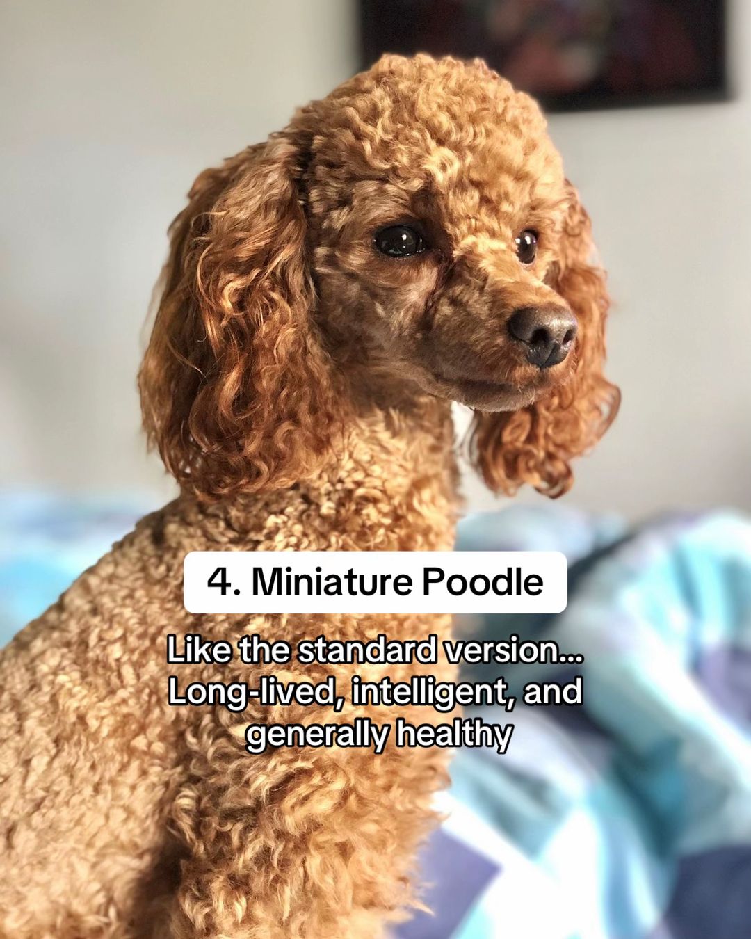 Slide 8