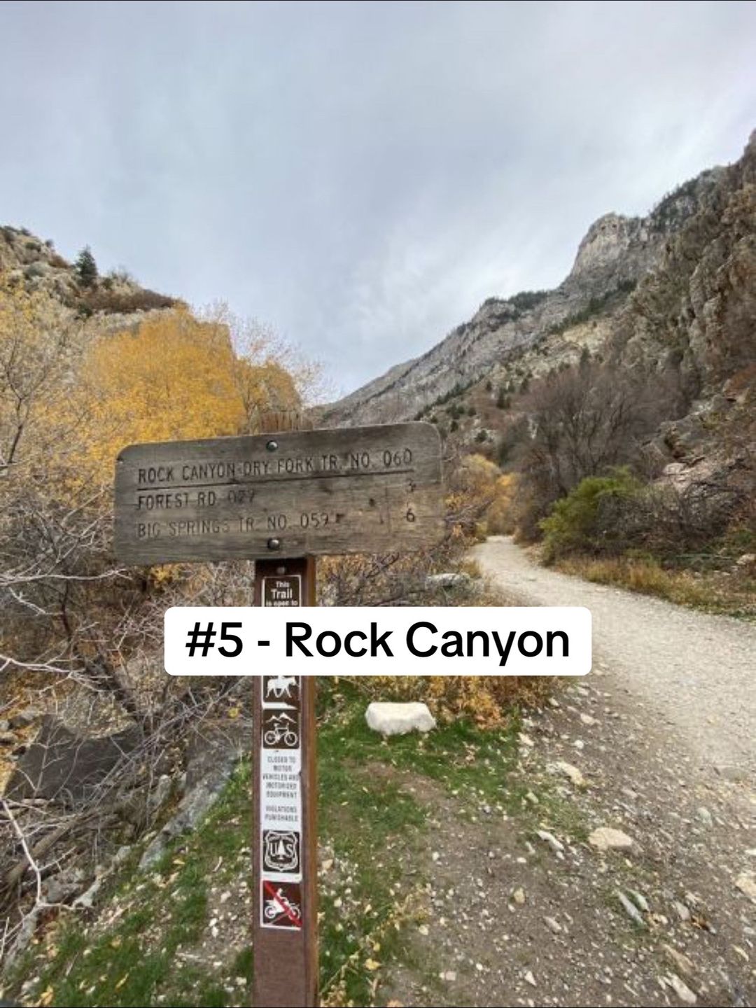 Slide 5