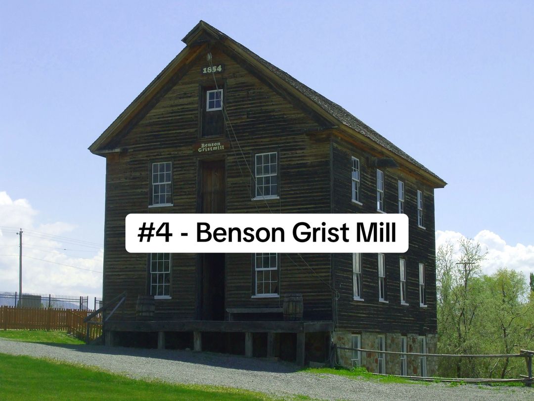 Slide 6