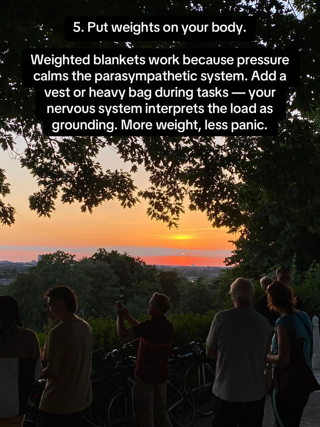 Slide 6