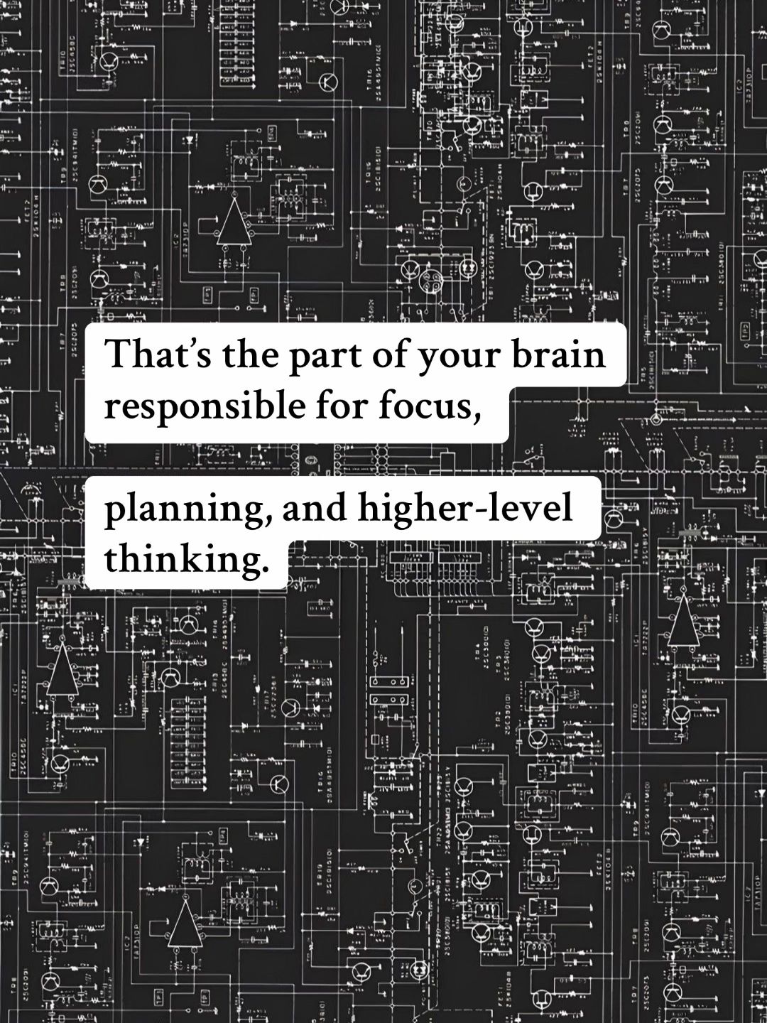 Slide 9