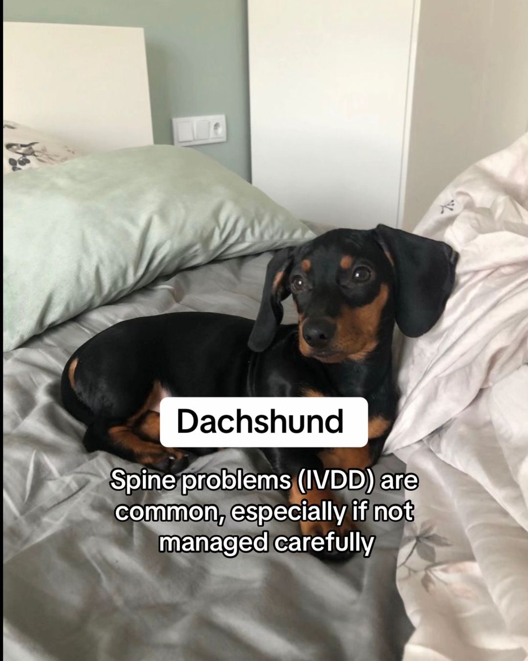 Slide 10