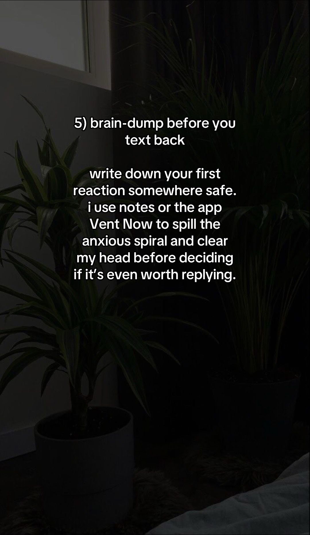 Slide 6
