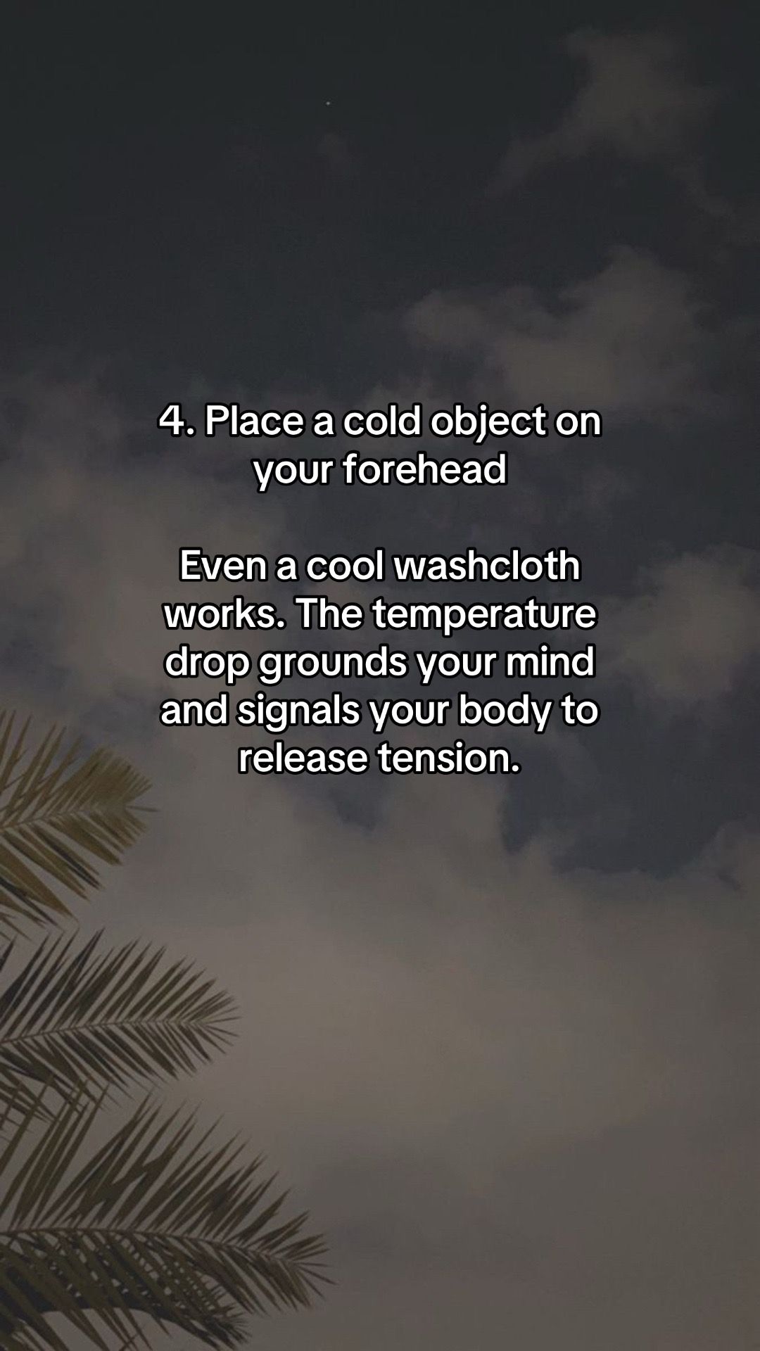 Slide 5