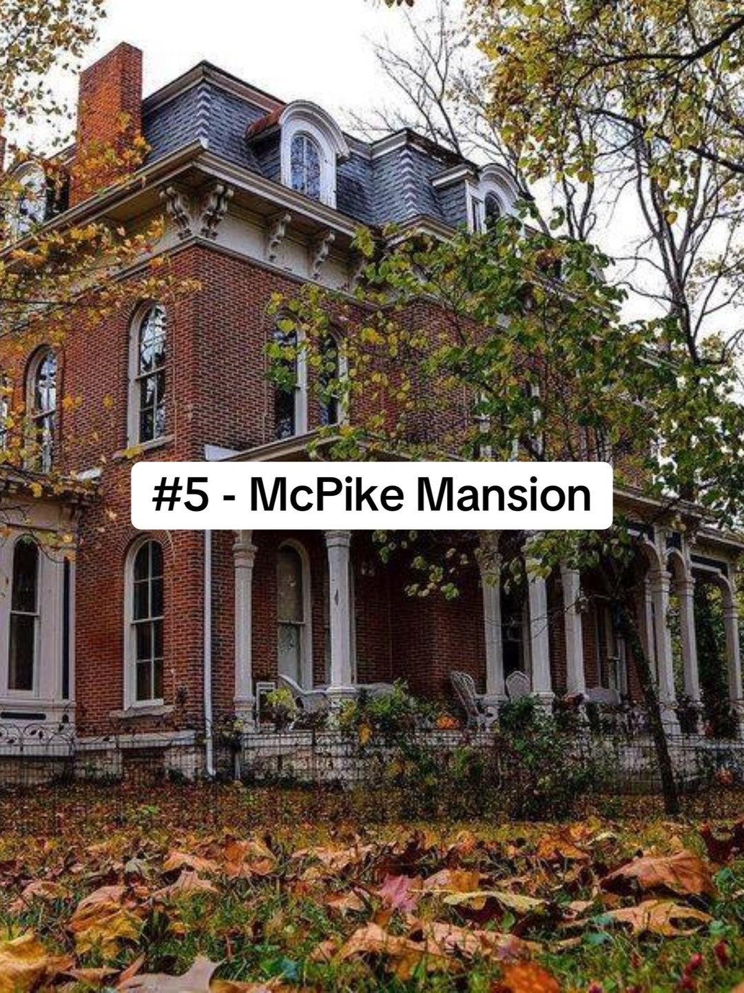 Slide 5