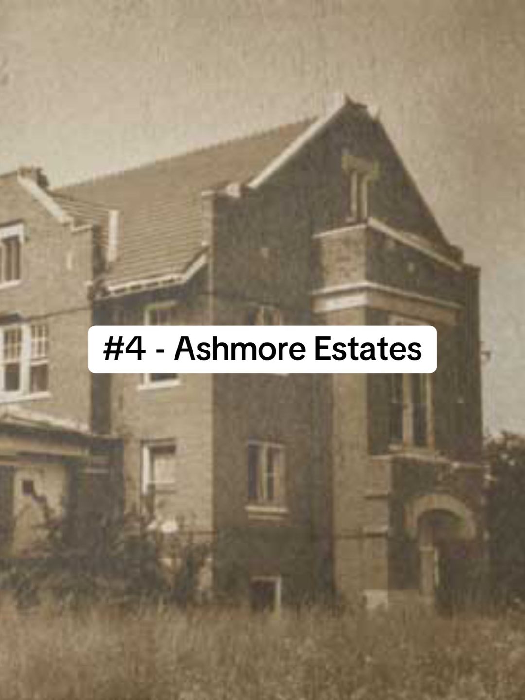 Slide 7