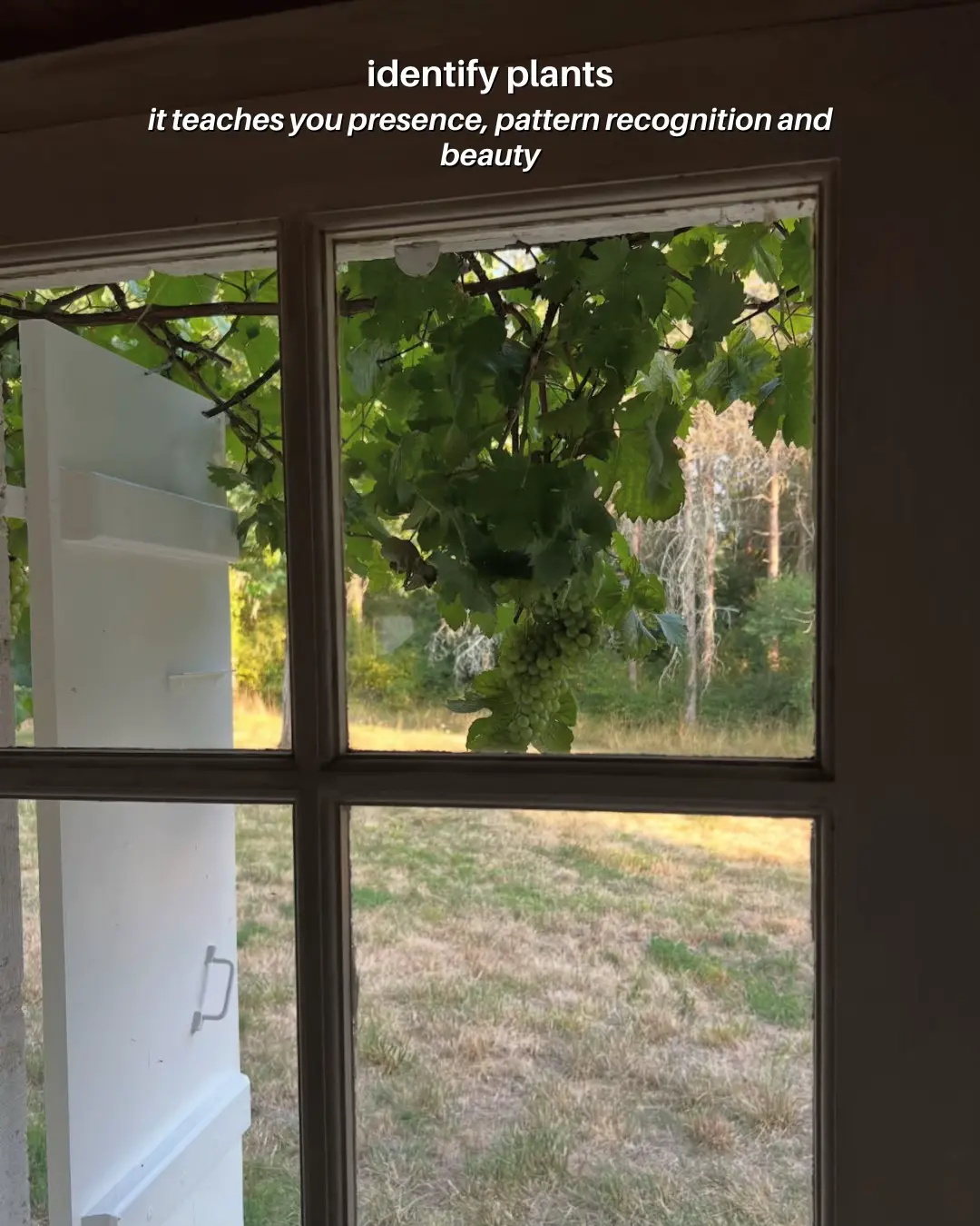 Slide 10