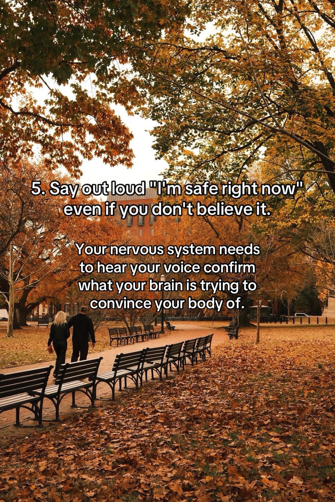 Slide 6