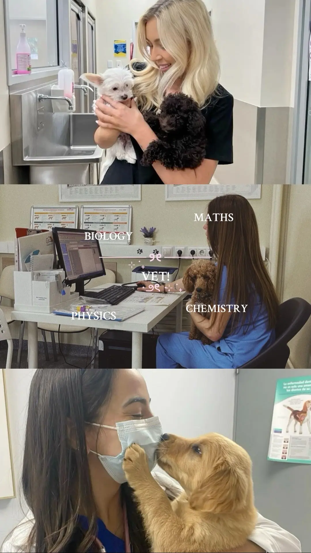 Slide 3