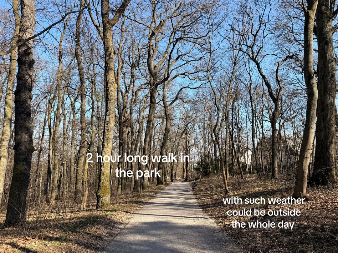 Slide 8