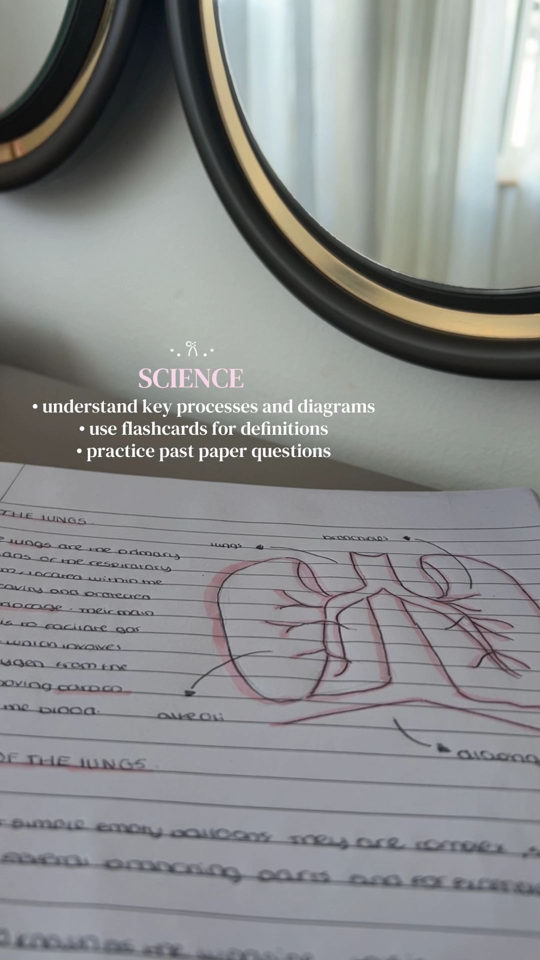 Slide 6