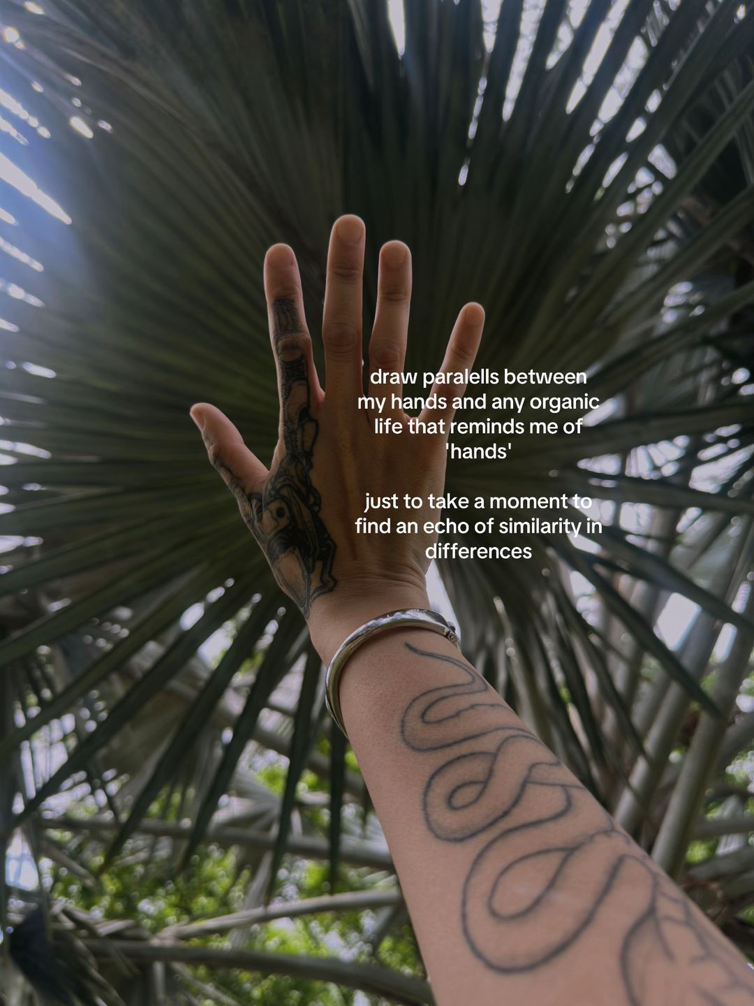Slide 7