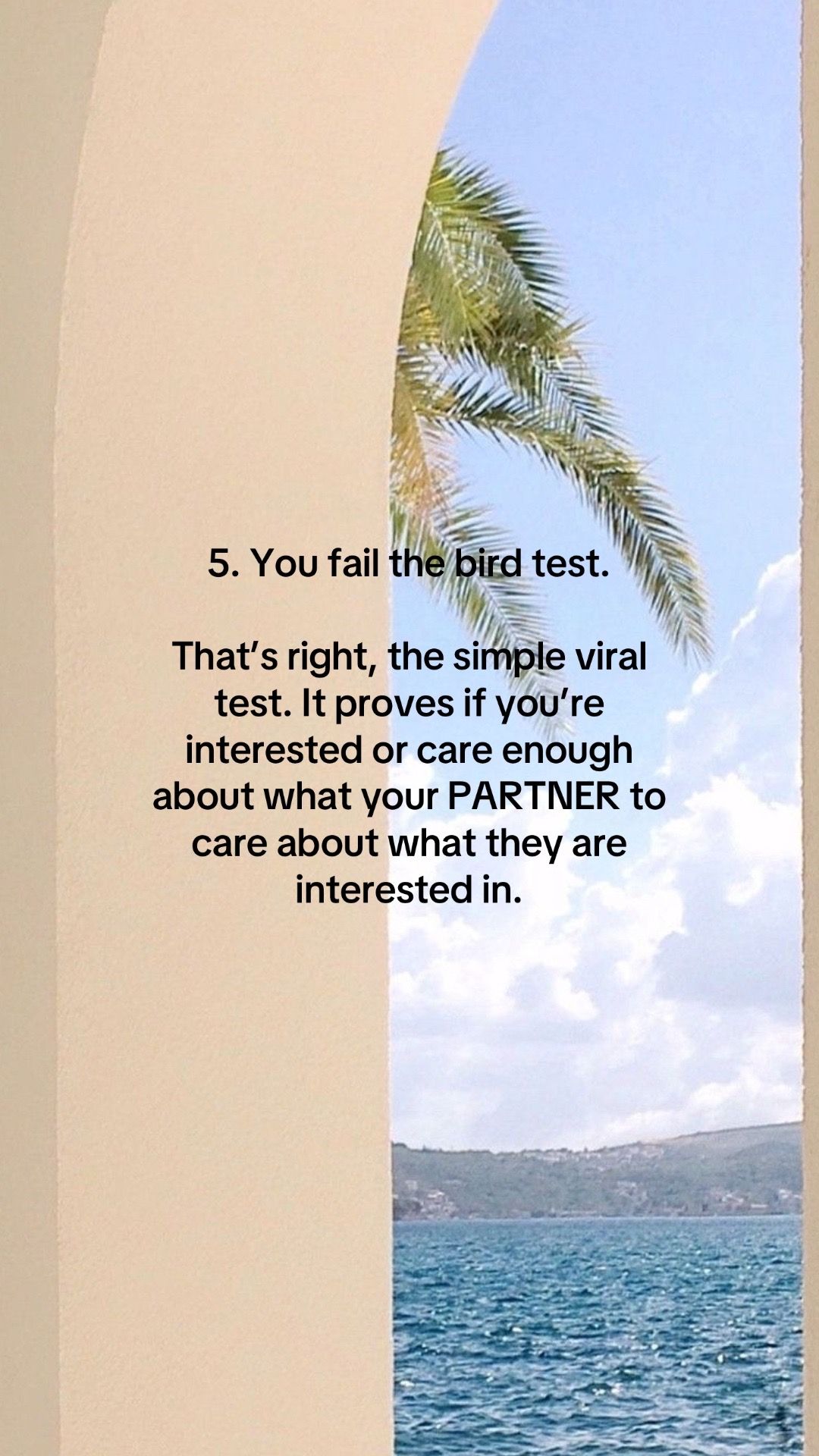 Slide 6